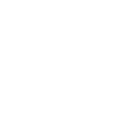 https://www.avvocatopaissoni.it/wp-content/uploads/2024/12/hi-logo-white-noframe.png